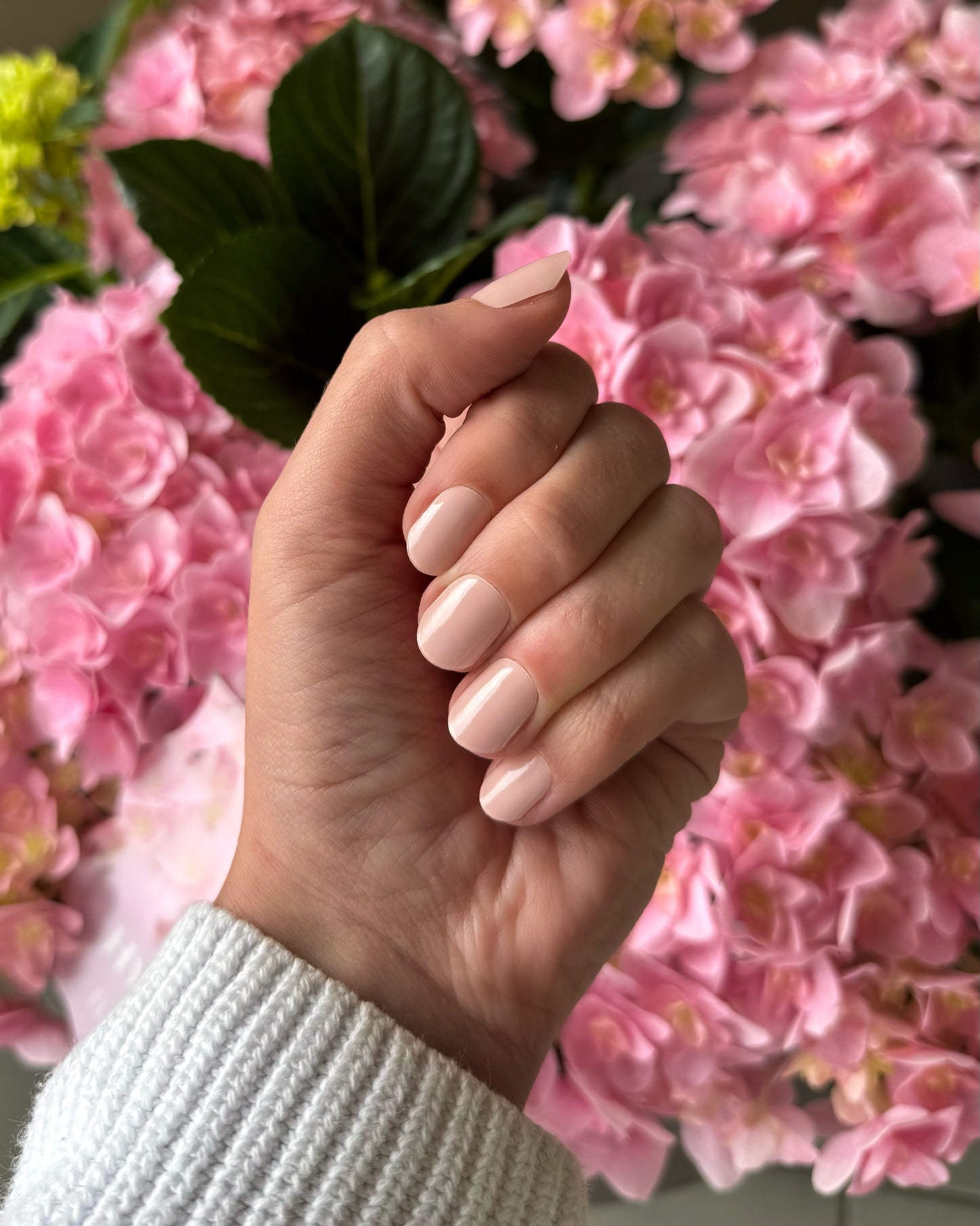 Classic Nude
