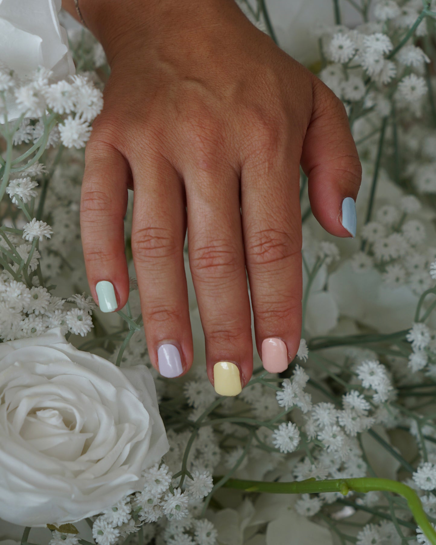 Pastel Crew